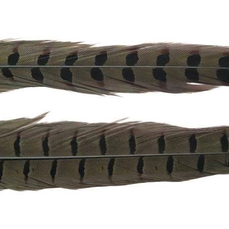 Wapsi Ringneck Pheasant Tail Pair