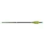 NWEB---EASTON-ARROW-AXIS-4MM-FLCH-PRSHP-6PK-250-3-Fletch-9.8-GPI.jpg