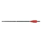 NWEB---EASTON-ARROW-FMJ-4MM-FLCH-PRSHP-6PK-250-3-Fletch-12.3-GPI.jpg