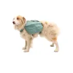 NWEB---RUFF-FRONT-RANGE-DAYPACK-1483810.jpg