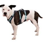 NWEB---RUFF-FLAG-LINE-HARNESS-1483807.jpg