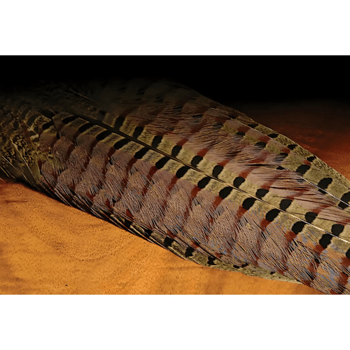 Hareline Dubbin Ringneck Pheasant Tail Clump