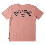 Billabong-Arch-Fill-Short-Sleeve-T-shirt---Men-s-Pink-Haze-XS.jpg