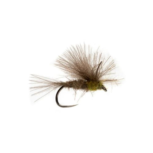 Fulling Mill Elden's CDC BWO Emerger Barbless Fly