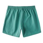 Billabong-Sundays-Layback-17--Boardshort---Men-s-Sea-Green-L.jpg