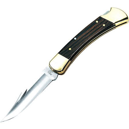Buck Knives Folding 110 Hunter Knife