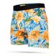 NWEB---STANCE-KABANA-BOXER-BRIEF-Rust-S.jpg