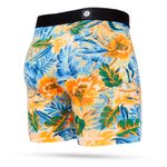 NWEB---STANCE-KABANA-BOXER-BRIEF-Rust-S.jpg