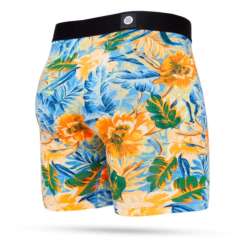 NWEB---STANCE-KABANA-BOXER-BRIEF-Rust-S.jpg