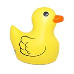 BIGMTH-DUCKY-LIL--SPRINKLER-1785857.jpg