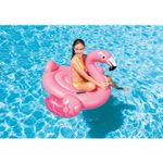 INTEX-Flamingo-Ride-On-1826790.jpg