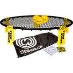 Spikeball-Lawn-Game