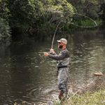 FROGG-M-STOUT-HLBNDR-PRO-SF-CHST-WDR-Gray-XXL.jpg
