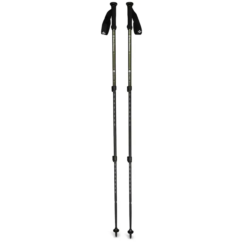 Black-Diamond-Explorer-2-Trekking-Pole-Tundra-One-Size.jpg