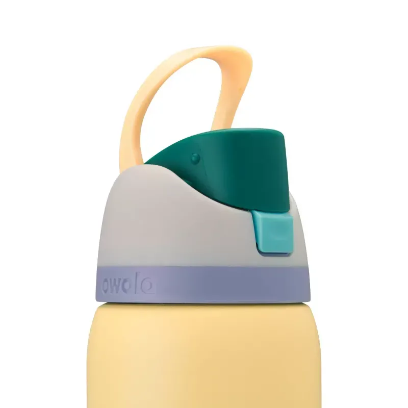 Owala-40-oz-Freesip-Water-Bottle-Sunny-Daze-40-oz.jpg