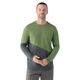 Smartwool-Mountain-Bike-Long-Sleeve-Jersey---Men-s-Charcoal-/-Fern-Green-S.jpg