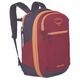 Osprey-Daylite®-Expandable-Travel-Pack-26+6-Kakio-Pink-/-Purple-Ink-One-Size.jpg