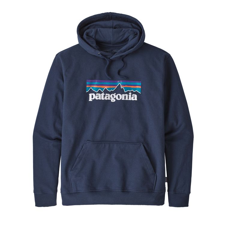 patagonia hoodie blue