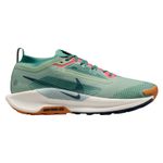 NIKE-M-SHOE-PEGASUS-TRAIL-5-GORE-TEX-Jade-Horizon---Armory-Navy---Bicoastal-9.5-Regular.jpg