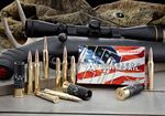 HORNAD-AMERICAN-WHITETAIL-243-WIN-100GR-INTERLOCK-AMMO-20-ROUNDS-100GR-INTERLOCK-243-WIN-20-Box.jpg