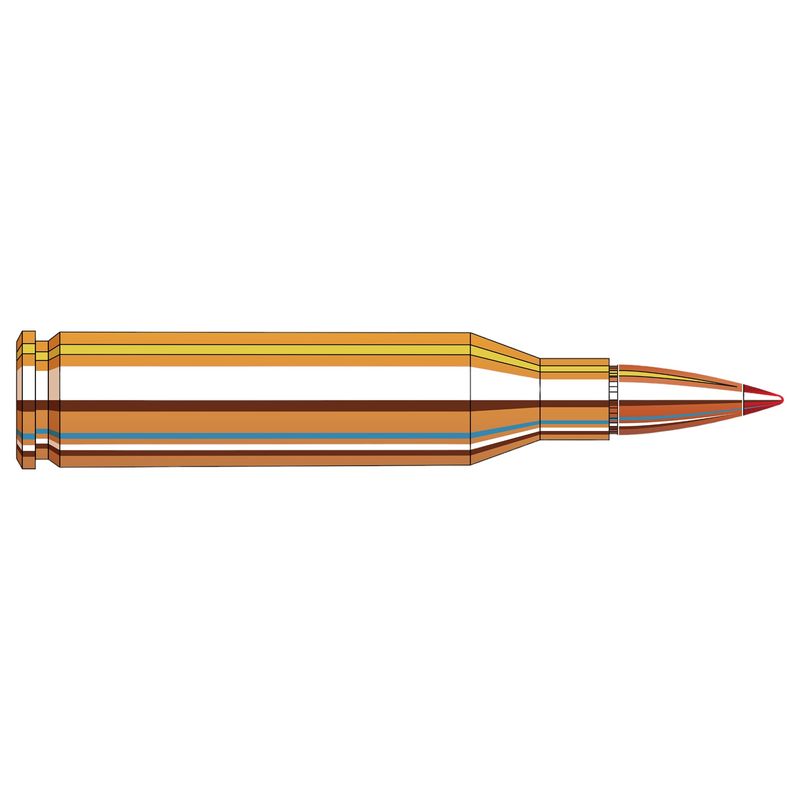 HORNAD-SUPERFORMANCE-243-WIN-95GR-SST-AMMO-20-ROUNDS-95GR-SST-243-WIN-20-Box.jpg