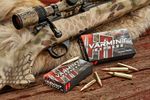 HORNAD-VARMINT-EXPRESS-6.5-CREEDMOOR-95GR-V-MAX-AMMO-20-ROUNDS-95GR-V-Max-6.5-CM-20-BOX.jpg