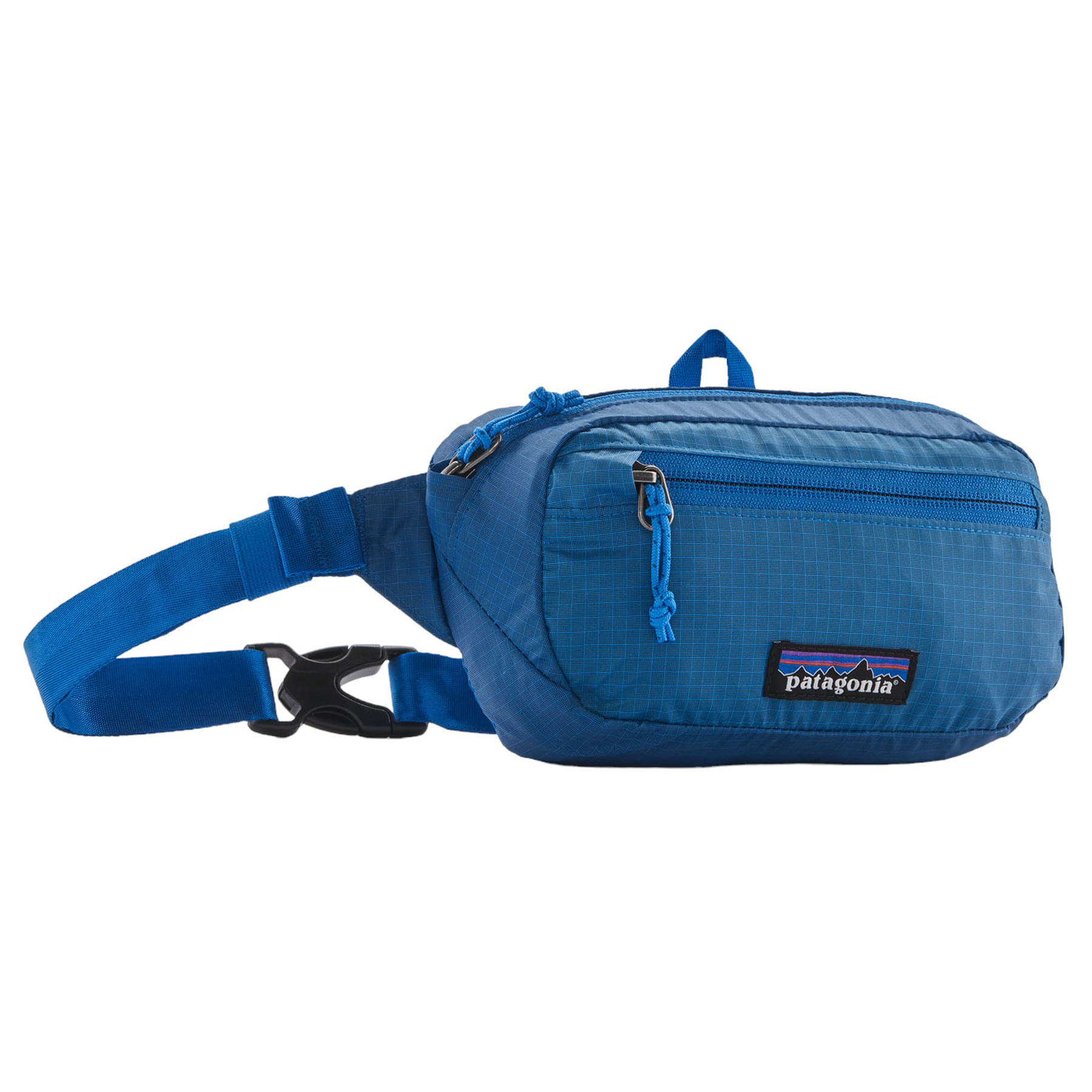 /patagonia-ultralight-black-hole-mini-hip-pack-1l-10353038/p?skuId=1615851