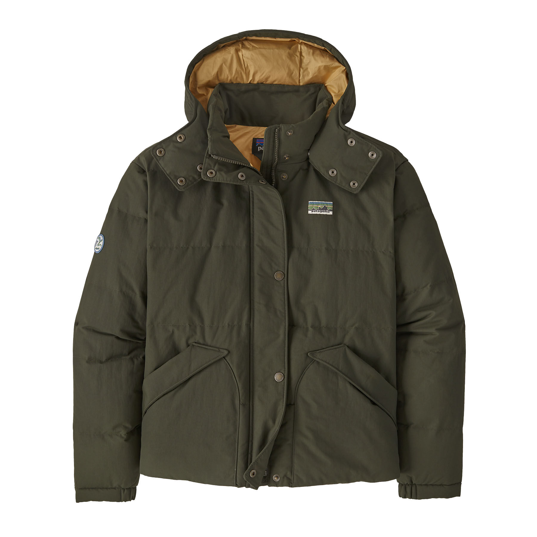 /patagonia-downdrift-jacket-womens-10393608/p?skuId=1602813