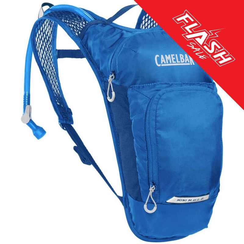 Camelbak-Mini-M.U.L.E.-50oz-Hydration-Pack---Youth---Blue.jpg