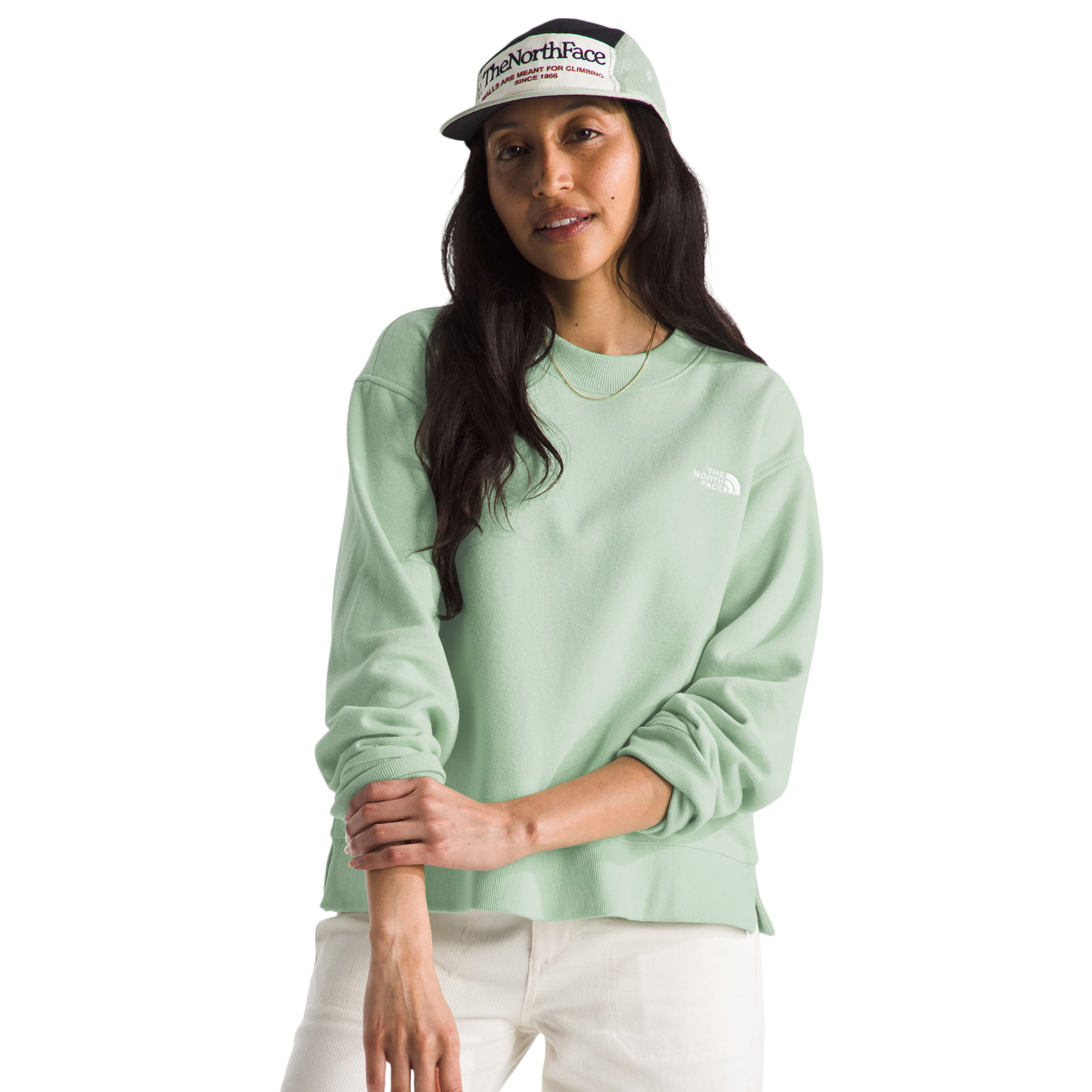 /the-north-face-evolution-fleece-top-womens-10575628/p?skuId=1849313