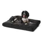 NWEB---ORVIS-CF-TOUGHCHEW-LOUNGER-BED-MD-Slate-M.jpg