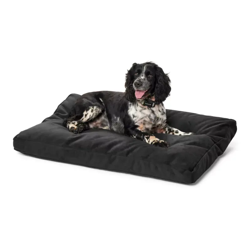 NWEB---ORVIS-CF-TOUGHCHEW-LOUNGER-BED-MD-Slate-M.jpg