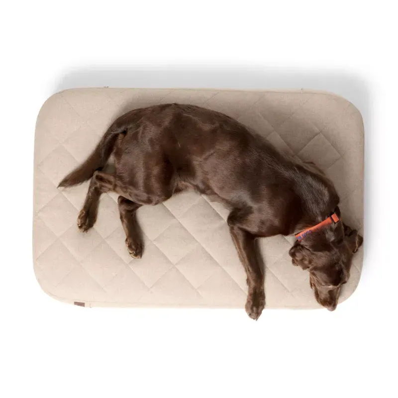 NWEB---ORVIS-RECOVERYZONE-LOUNGER-BED-Khaki-L.jpg