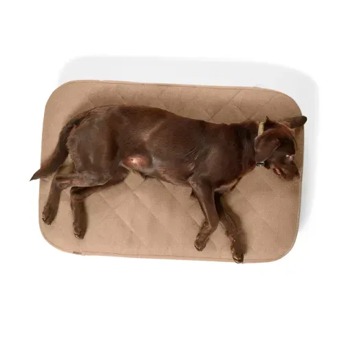 Orvis RecoveryZone ToughChew Lounger Dog Bed