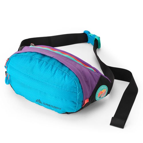 Gregory Nano Waistpack Plus