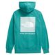 The North Face Box Nse Pullover Hoodie - Women's Oxidized Bronze