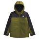 The North Face Freedom Insulated Jacket - Boys' Forest Olive / TNF Black