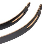 BEARAR Take Down #2 limb Black