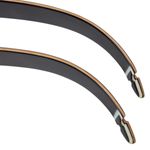 BEARAR Take Down #2 limb Black