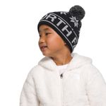The North Face Ski Tuke Beanie - Youth TNF Black
