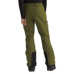 The-North-Face-Chakal-Pant---Men-s-Forest-Olive