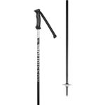 Rossignol-Tactic-Jr-Ski-Poles---Youth-Black-105-cm---42-.jpg