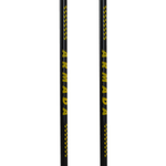 Armada Triad Ski Poles Gold / Black