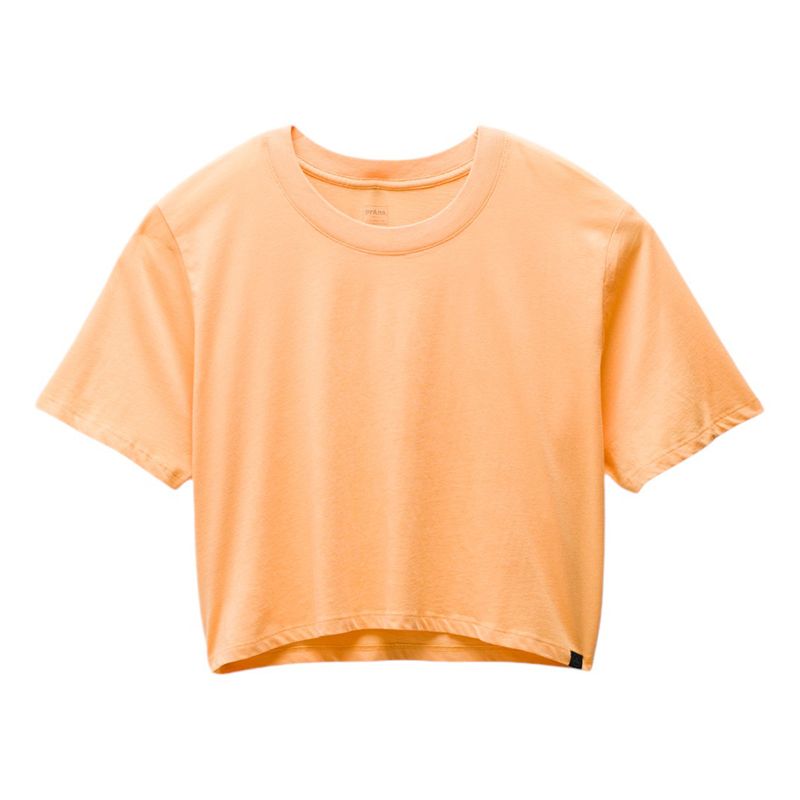 Prana-Everyday-Crop-Tee---Women-s-Aura-Glow
