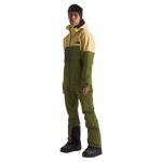 The-North-Face-Chakal-Jacket---Men-s-Lichen-Gold---Forest-Olive-XXL.jpg
