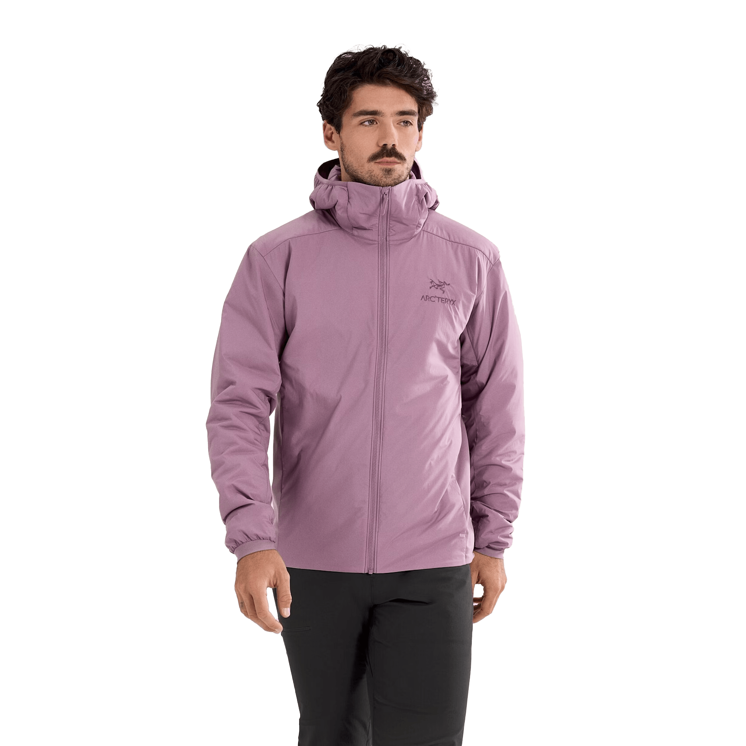 /arcteryx-atom-lt-hoodie-mens-10489198/p?skuId=3005114