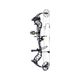 Bear Archery Species XT RTH Compound Bow Black