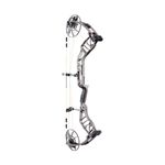 Bear-Archery-Legend-30-Compound-Bow-Stone