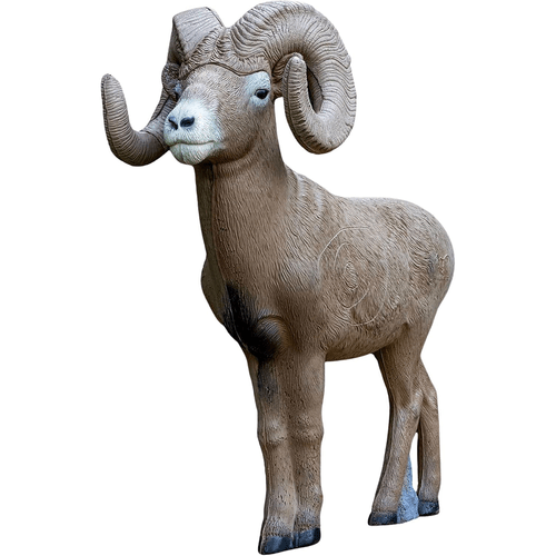 RINEAR TARGET 1/2 Scale Bighorn Sheep