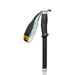 Black Diamond Traverse Pro Ski Pole Foam Green